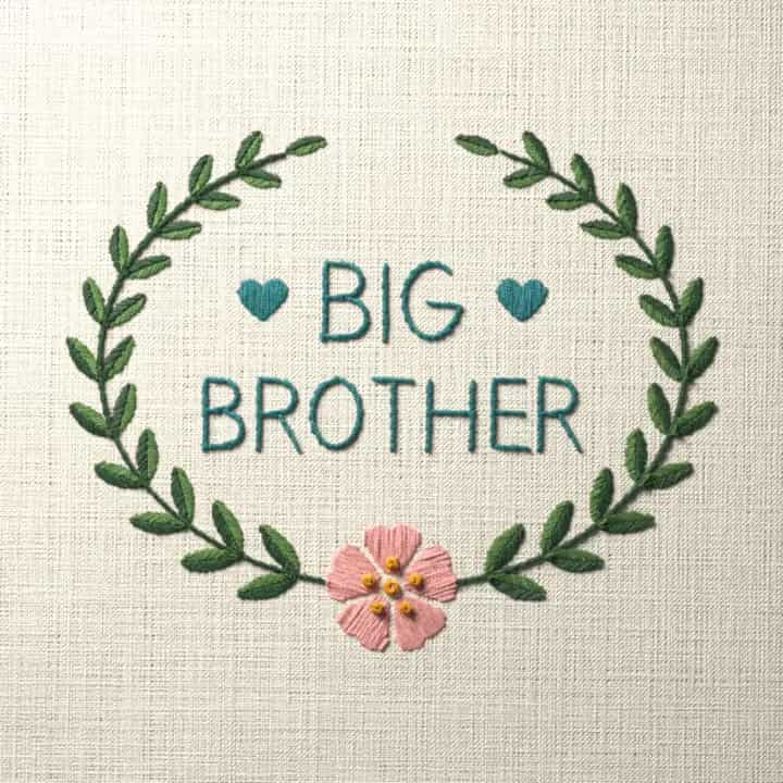 Big brother: preview of the stitched design