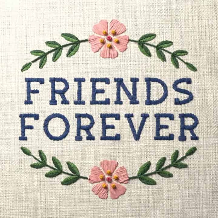 Friends forever: preview of the stitched design