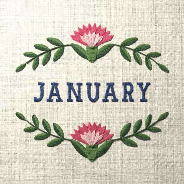 January birth flower, carnation: preview of the stitched design