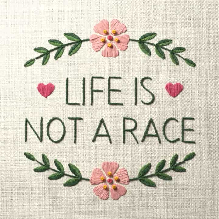 Life is not a race: preview of the stitched design