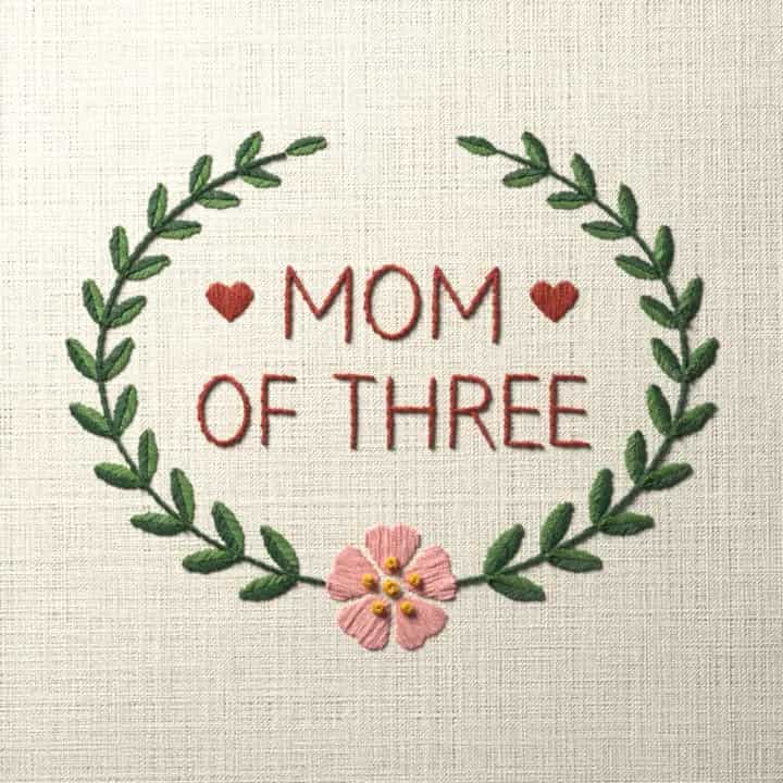 Mom of three: preview of the stitched design