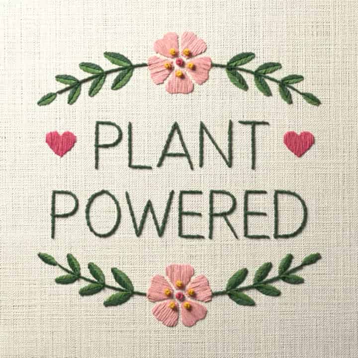 Plant powered: preview of the stitched design