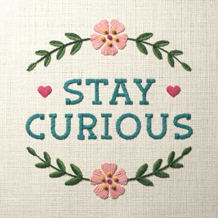 Stay curious: preview of the stitched design