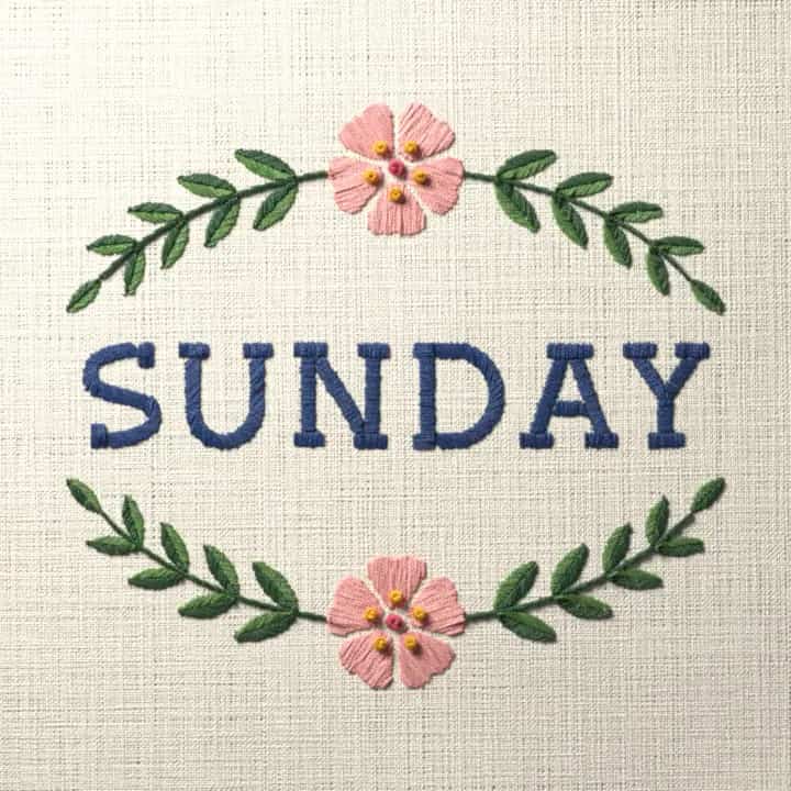 Sunday: preview of the stitched design