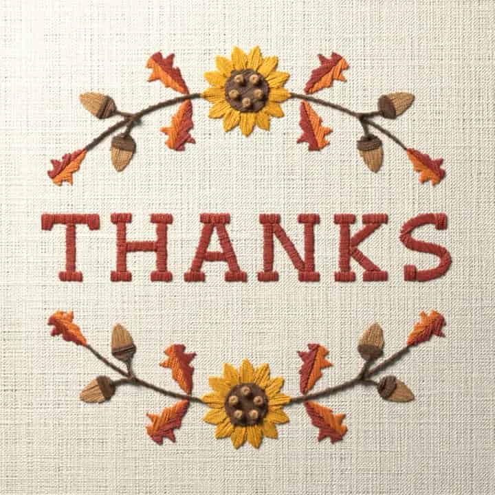 Thanks: preview of the stitched design