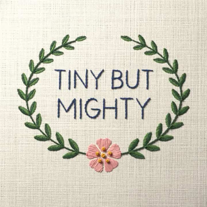 Tiny but mighty: preview of the stitched design