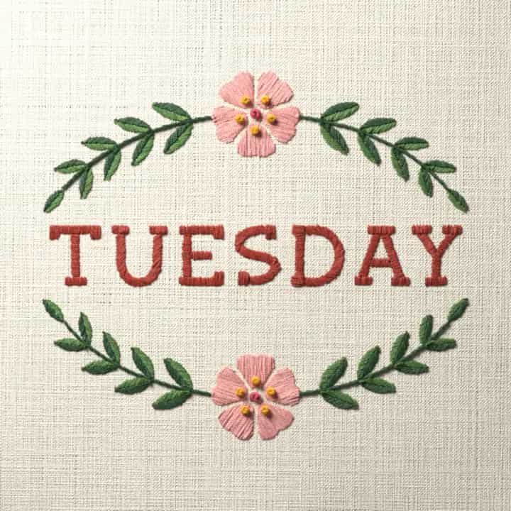 Tuesday: preview of the stitched design